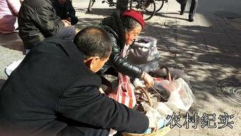 桶哥在线吃瓜,揭秘娱乐圈幕后风云 第1张 桶哥在线吃瓜,揭秘娱乐圈幕后风云 第1张